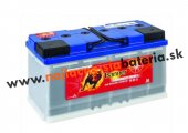 Banner Energy Bull 12V 100Ah 957 51